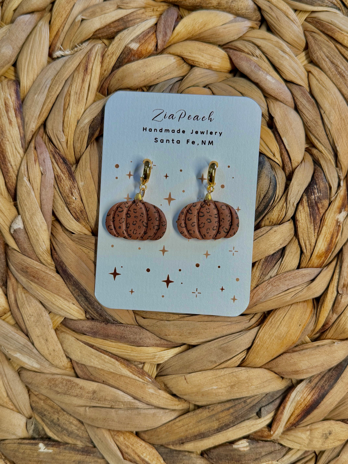 Clay earrings